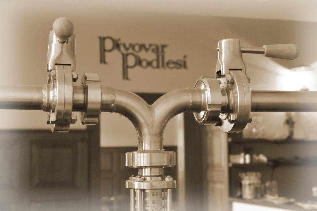 Penzion Pivovar Podlesi Příbram エクステリア 写真